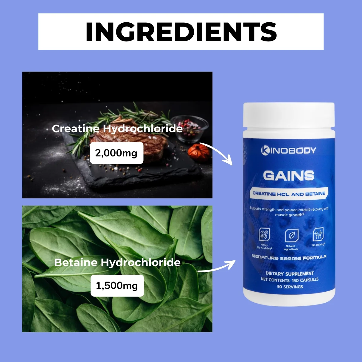 Kino Gains Creatine Capsules - Image 3